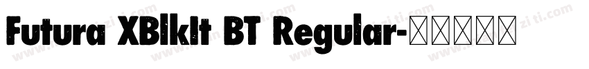 Futura XBlkIt BT Regular字体转换